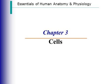 Essentials of Human Anatomy & Physiology