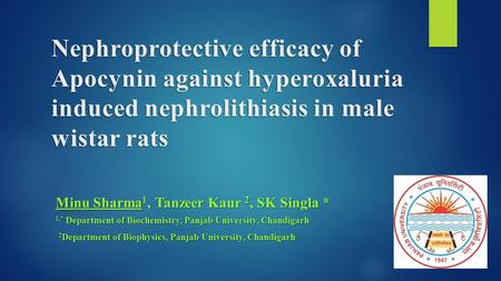 Nephroprotective efficacy of Apocynin against hyperoxaluria induced nephrolithiasis in male wistar rats Minu Sharma 1, Tanzeer Kaur 2, SK Singla * 1,*