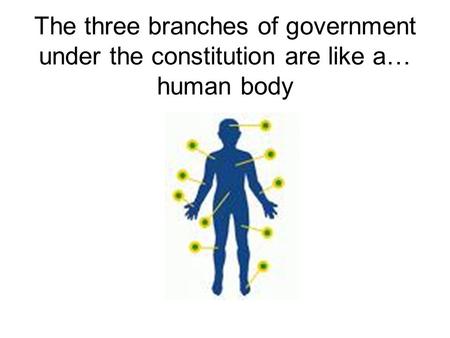 The skeleton is like the constitution because just as the skeleton is the structure of our body, the constitution is the structure of our government.