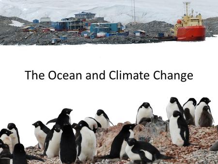 The Ocean and Climate Change. The ocean is full of life Trillions and trillions of life forms.