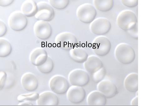 Blood Physiology. Hematopoiesis Blood cell formation Occurs in red marrow – Flat bones – Skull – Pelvis – Ribs – Sternum Lymphocytes that form T cells.