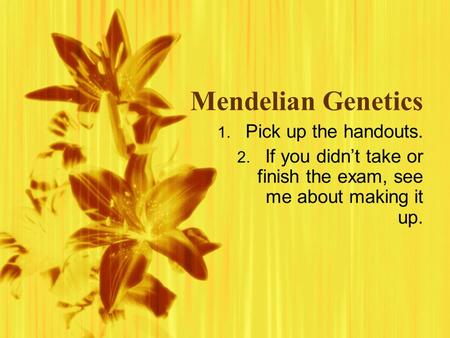 Mendelian Genetics 1. Pick up the handouts. 2. If you didn’t take or finish the exam, see me about making it up. 1. Pick up the handouts. 2. If you didn’t.