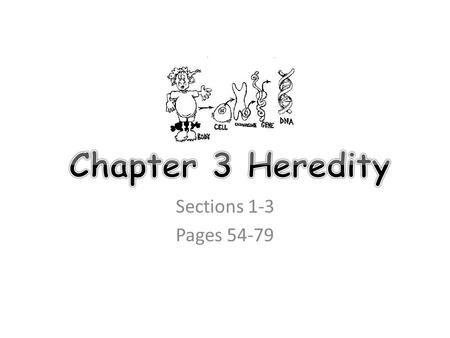 Sections 1-3 Pages 54-79. Heredity Heredity is when traits are passed from parents to offspring.