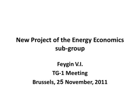 New Project of the Energy Economics sub-group Feygin V.I. TG-1 Meeting Brussels, 2 5 November, 2011.