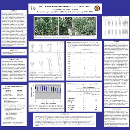 Table 3. Seed yield traits for the F 2:7 RILs. TWO THUMBS UP FOR YIELD TRAIT VARIATION IN WHITE LUPIN S.L. Noffsinger and Edzard van Santen Department.