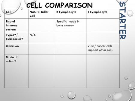 starter CELL comparison Cell Natural Killer Cell B Lymphocyte