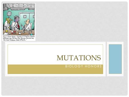 BIOLOGY HONORS MUTATIONS. WHAT IS A MUTATION? A change in DNA Can cause changes in organism Happen randomly Can be beneficial, neutral, or harmful For.