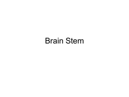 Brain Stem. Brain stem: consists of medulla oblongata, pons, and midbrain.