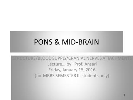 PONS & MID-BRAIN STRUCTURE/BLOOD SUPPLY/CRANIAL NERVES ATTACHMENTS