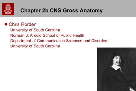 1 Chapter 2b CNS Gross Anatomy Chris Rorden University of South Carolina Norman J. Arnold School of Public Health Department of Communication Sciences.