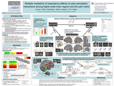 Expectancies modulate both reported pain and responses in some brain regions, yet the key brain circuitry that mediates expectancy effects on pain experience.