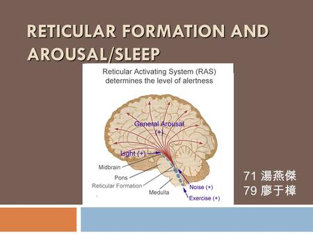 RETICULAR FORMATION AND AROUSAL/SLEEP