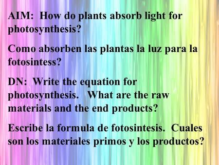 AIM: How do plants absorb light for photosynthesis? Como absorben las plantas la luz para la fotosintess? DN: Write the equation for photosynthesis. What.