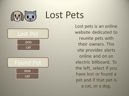 Lost Pets Lost pets is an online website dedicated to reunite pets with their owners. This site provides alerts online and on an electric billboard. To.