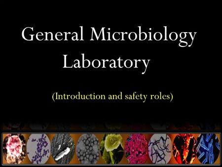 General Microbiology Laboratory (Introduction and safety roles)