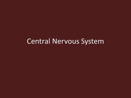 Central Nervous System