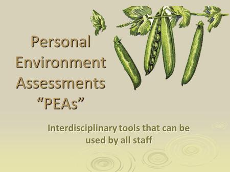 Personal Environment Assessments “PEAs” Interdisciplinary tools that can be used by all staff.