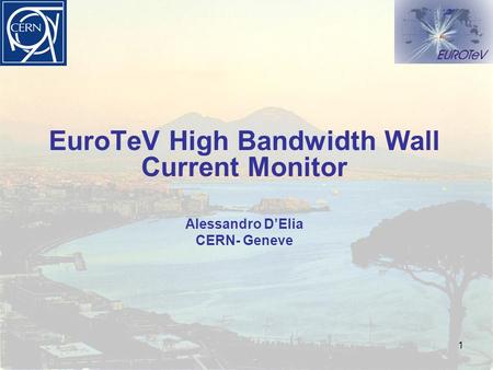 1 EuroTeV High Bandwidth Wall Current Monitor Alessandro D’Elia CERN- Geneve.