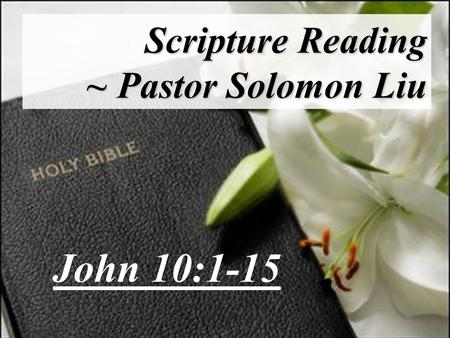 Scripture Reading ~ Pastor Solomon Liu John 10:1-15.