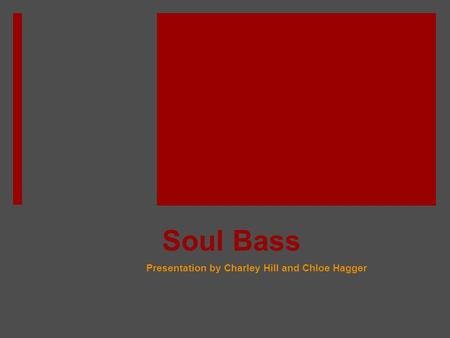 Soul Bass Presentation by Charley Hill and Chloe Hagger.