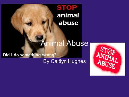 Animal Abuse By Caitlyn Hughes. What is Animal Abuse? Animal abuse is when a person(s) hurt and harm an animal on purpose. A person(s) could neglect them.