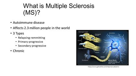 What is Multiple Sclerosis (MS)? Autoimmune disease Affects 2.3 million people in the world 3 Types Relapsing-remmitting Primary-progressive Secondary-progressive.