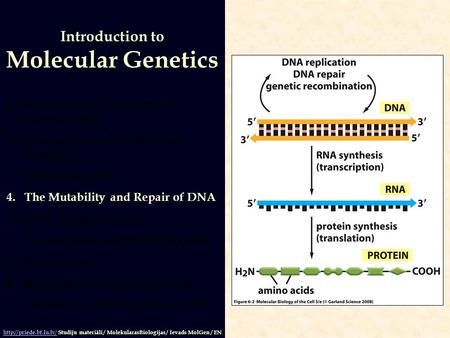 1.Structures and Functions of Nucleic Acids 2.Organization and Content of Genomes 3.DNA Replication 4.The Mutability and Repair of DNA 5.DNA Recombination.