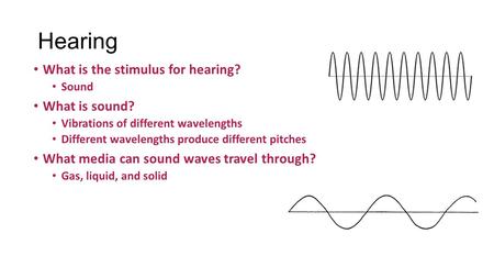 Hearing What is the stimulus for hearing? Sound What is sound? Vibrations of different wavelengths Different wavelengths produce different pitches What.