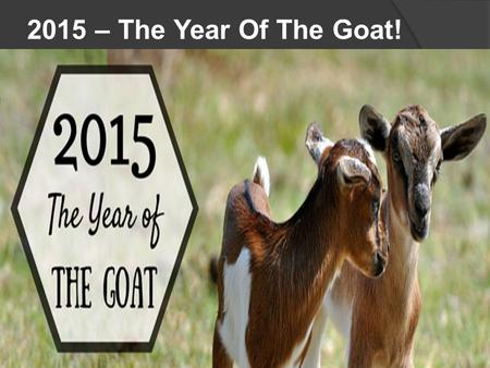 2015 – The Year Of The Goat!. Tet  Tet Nguyen Dan, or Tet for short, is considered the biggest and most popular festival of the year in Vietnam. Celebrated.