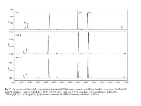 Fig. S1. Carotenoid and chlorophyll composition of Arabidopsis Z-ISO mutants compared to wild type. Seedlings were grown for 6d on half strength MS plus.