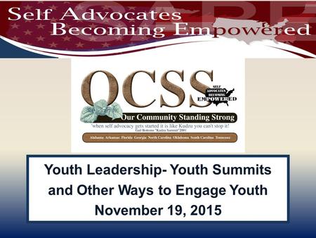 Youth Leadership- Youth Summits and Other Ways to Engage Youth November 19, 2015.