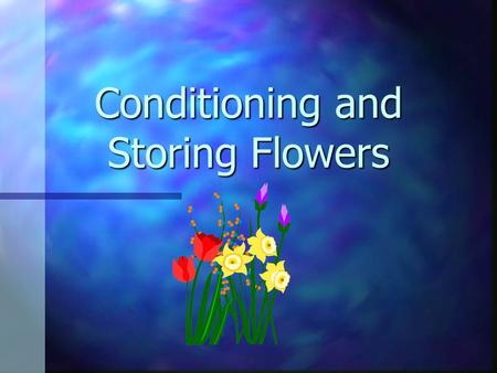 Conditioning and Storing Flowers Long lasting flowers n important n pleases customer n happy customers return to the florist when they need flowers in.