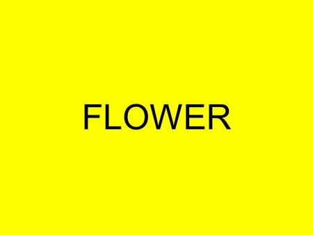 FLOWER.