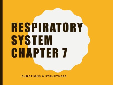 RESPIRATORY SYSTEM CHAPTER 7 FUNCTIONS & STRUCTURES.