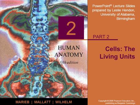 PowerPoint ® Lecture Slides prepared by Leslie Hendon, University of Alabama, Birmingham HUMAN ANATOMY fifth edition MARIEB | MALLATT | WILHELM 2 Copyright.