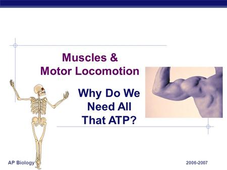 AP Biology 2006-2007 Muscles & Motor Locomotion Why Do We Need All That ATP?