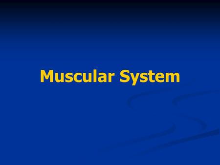 Muscular System.