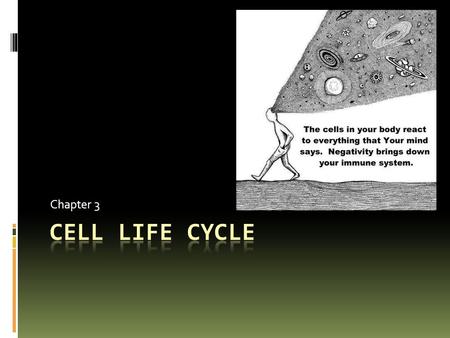 Chapter 3. Life Cycle of a Cell  Interphase  Mitosis  Cytoplasmic Division  Differentiation.