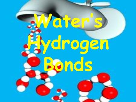 Water’s Hydrogen Bonds. ONE molecule of water Draw what you think a water molecule looks like! We know that… ONE molecule of water is made up of 2H’s.