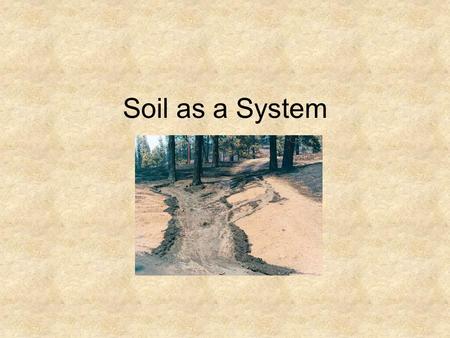 Soil as a System. Soil formation is slow and complex Parent material—base geological material in a particular location, can include lava or volcanic ash,