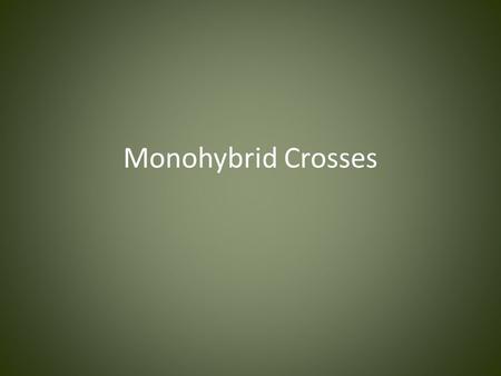 Monohybrid Crosses. Gregor Mendel Austrian monk who started the study of genetics in his monastery’s garden in the 1860s Studied heredity in garden peas.