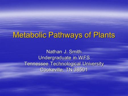 Metabolic Pathways of Plants Nathan J. Smith Undergraduate in WFS Tennessee Technological University Cookeville, TN 38501.