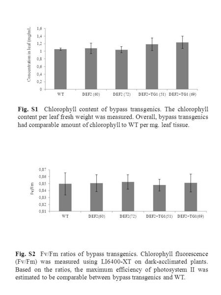 Fig. S1 Chlorophyll content of bypass transgenics. The chlorophyll content per leaf fresh weight was measured. Overall, bypass transgenics had comparable.