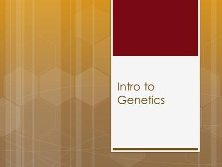 Intro to Genetics. Human Traits  How do we get our traits? Why are we tall, short, blonde? What makes us us?