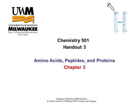 Chemistry 501 Handout 3 Amino Acids, Peptides, and Proteins Chapter 3 Dep. of Chemistry & Biochemistry Prof. Indig Lehninger. Principles of Biochemistry.