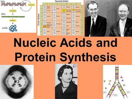 Nucleic Acids and Protein Synthesis. I. DNA = deoxyribonucleic acid A. Contains Genes = specific locations on DNA. 1.Genes specify proteins and traits.