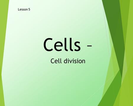 Cells – Cell division Lesson 5. LO- Level 3 – to state why we grow Level 4 – to draw a flow diagram of cells dividing Level 5 – to explain how cells divide.