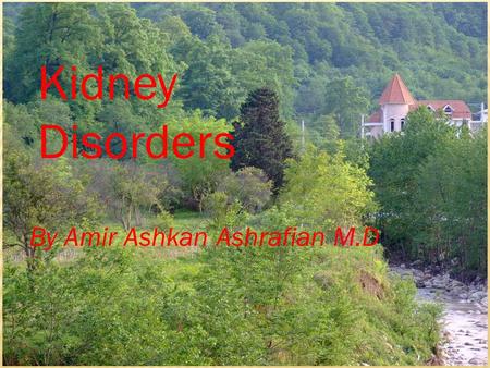 Kidney Disorders By Amir Ashkan Ashrafian M.D.  A spectrum of different pathophysiologic processes associated with abnormal kidney function and a progressive.