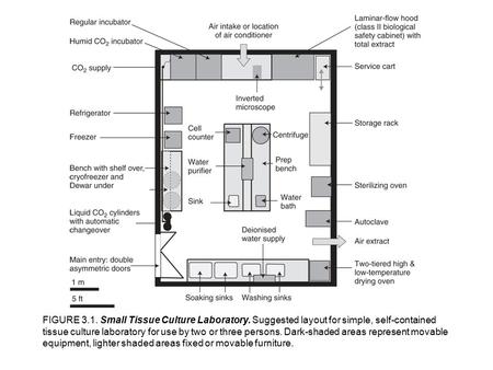 FIGURE Small Tissue Culture Laboratory