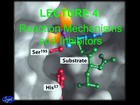 LECTURE 4: Reaction Mechanisms and Inhibitors Reaction Mechanisms A: Sequential Reactions All substrates must combine with enzyme before reaction can.